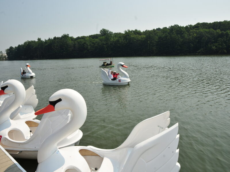 Paddle Boats